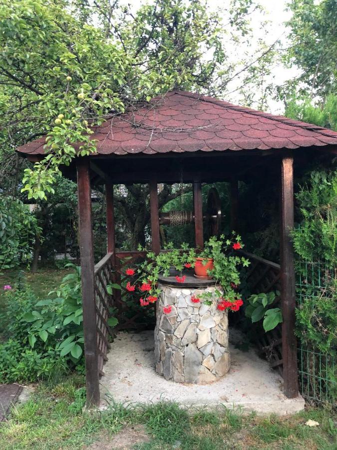 Argeselu Garden Villa - Entire Floor Apartment, Exclusive Garden Access Maracineni Exterior foto