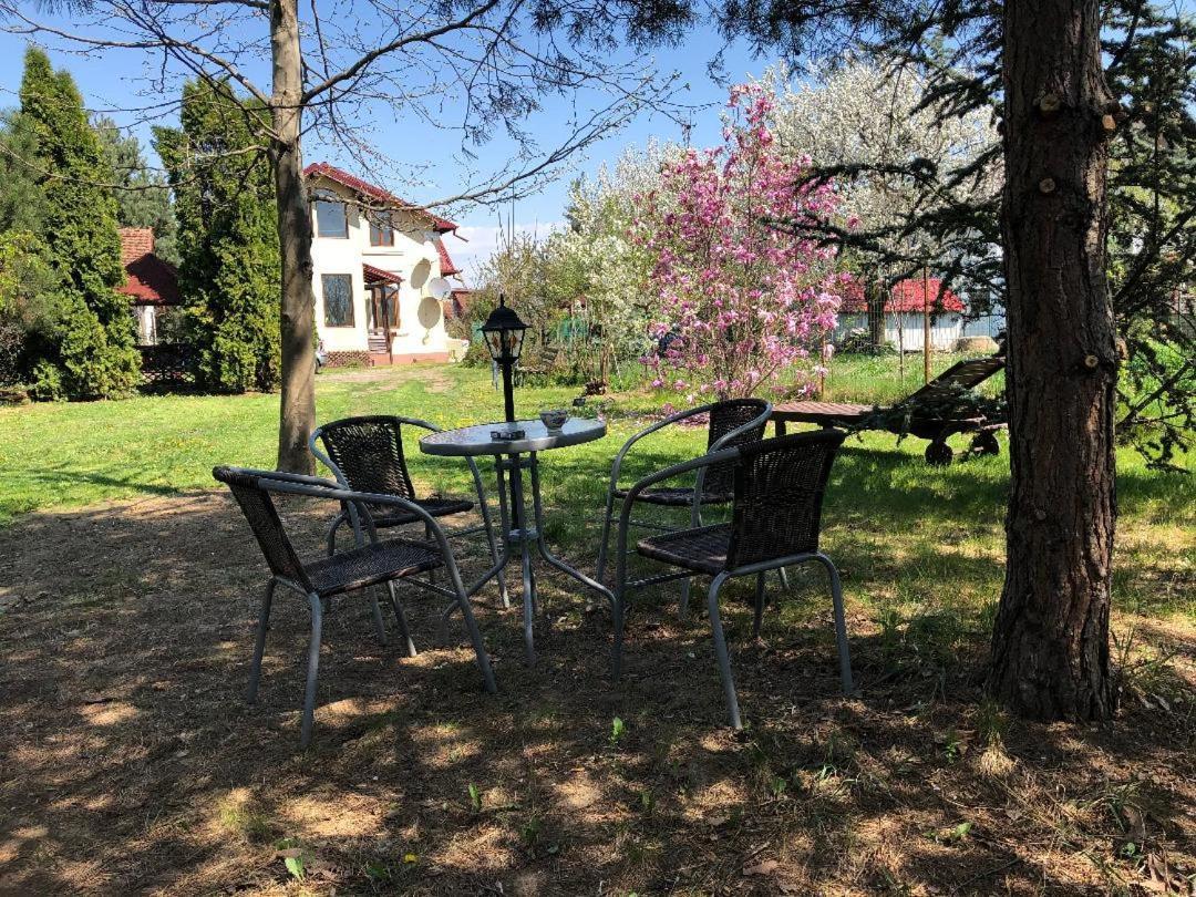 Argeselu Garden Villa - Entire Floor Apartment, Exclusive Garden Access Maracineni Exterior foto