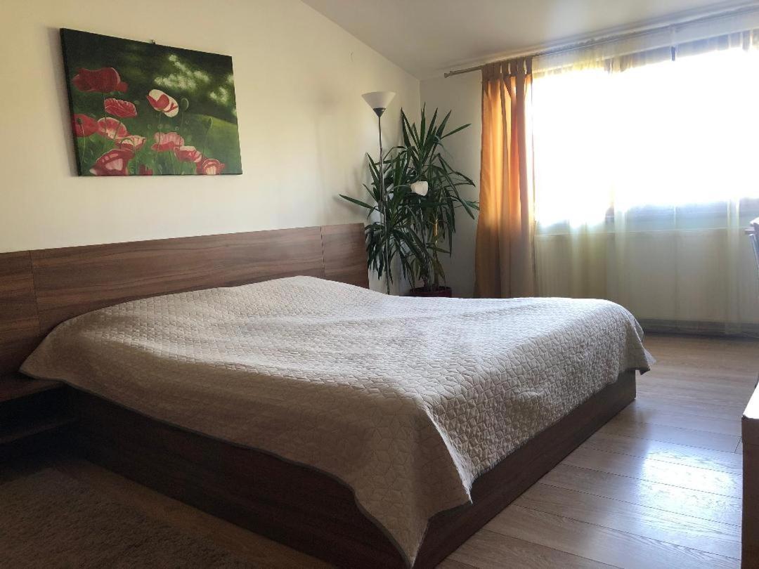 Argeselu Garden Villa - Entire Floor Apartment, Exclusive Garden Access Maracineni Exterior foto